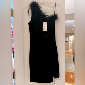 Elizabeth Chronicles black, velvet, one shoulder, feather, fitted dress